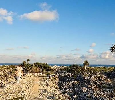 The Alexander Hotel - Cayman Brac
